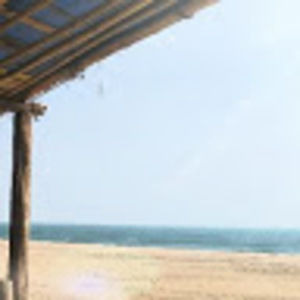 Meet your Posher, Jake